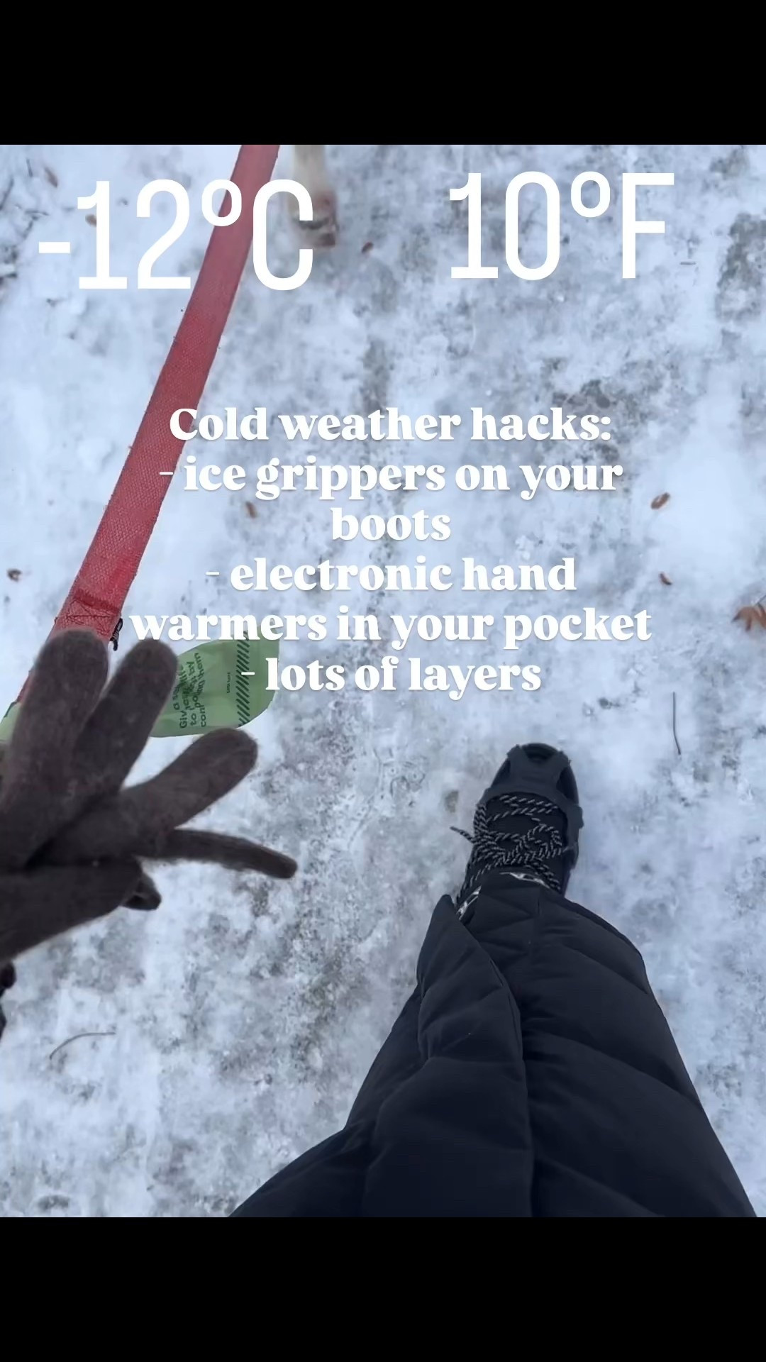 Cold weather must haves! 


#LTKstorytime #LTKSeasonal #LTKootd