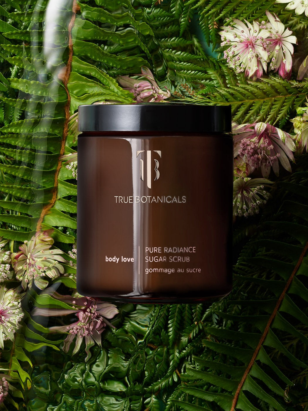 Pure Radiance Sugar Exfoliating Body Scrub | True Botanicals