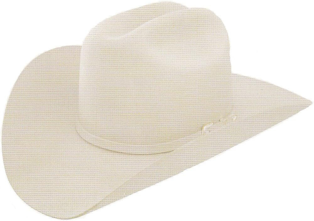 Stetson Oak Ridge Western Hat | Amazon (US)