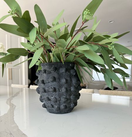 Anthro minka pot and eucalyptus stems 

Modern organic home decor


#LTKHome #LTKFindsUnder50 #LTKFindsUnder100