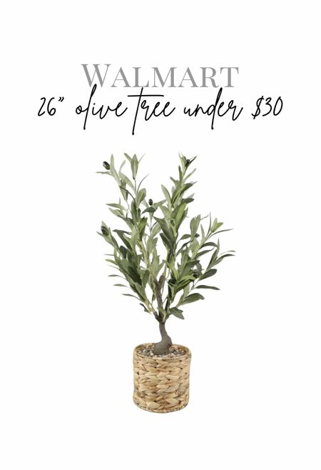 Olive tree under $30!

#LTKhome #LTKfindsunder50 #LTKstyletip