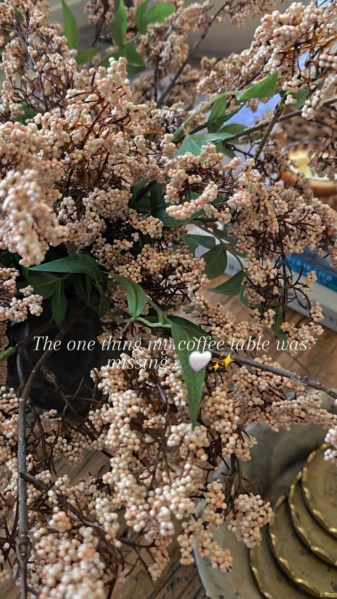Soft spring layers for the coffee table 🤍These light pink berry stems were the missing piece… adding the prettiest warmth and texture to this space. Linking everything I can for you here ✨

#LTKHome #LTKU
