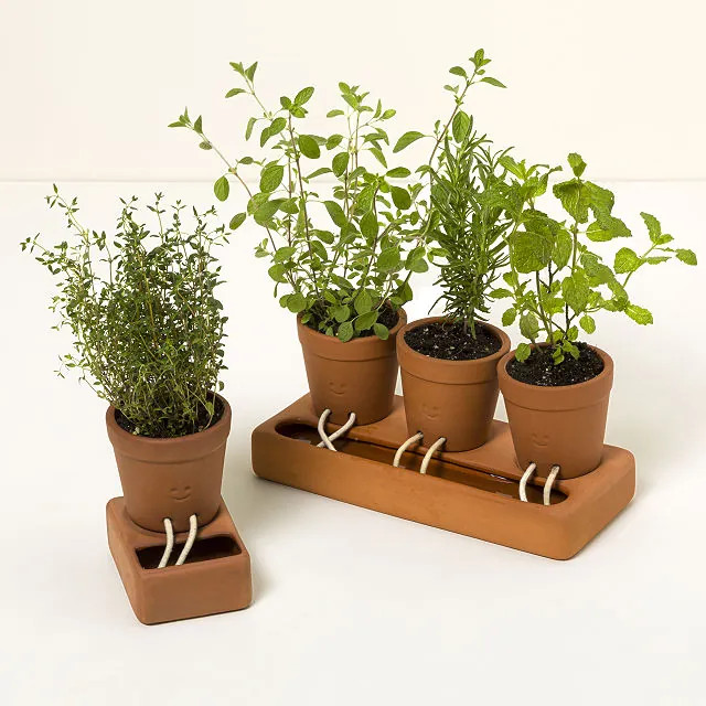 Self-Care Planter, Self-Care with Friends | UncommonGoods