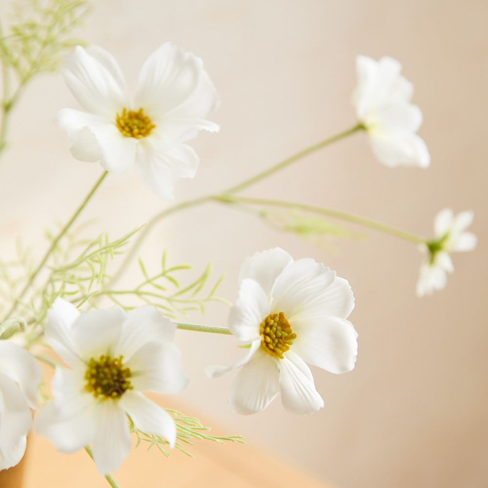 Faux Cosmos Stem | West Elm (US)
