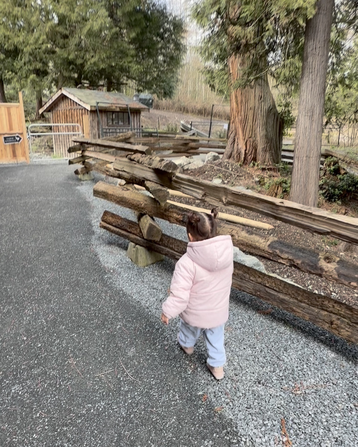 A day at the farm 🤍✨

#LTKmaternity #LTKfamily #LTKtravel