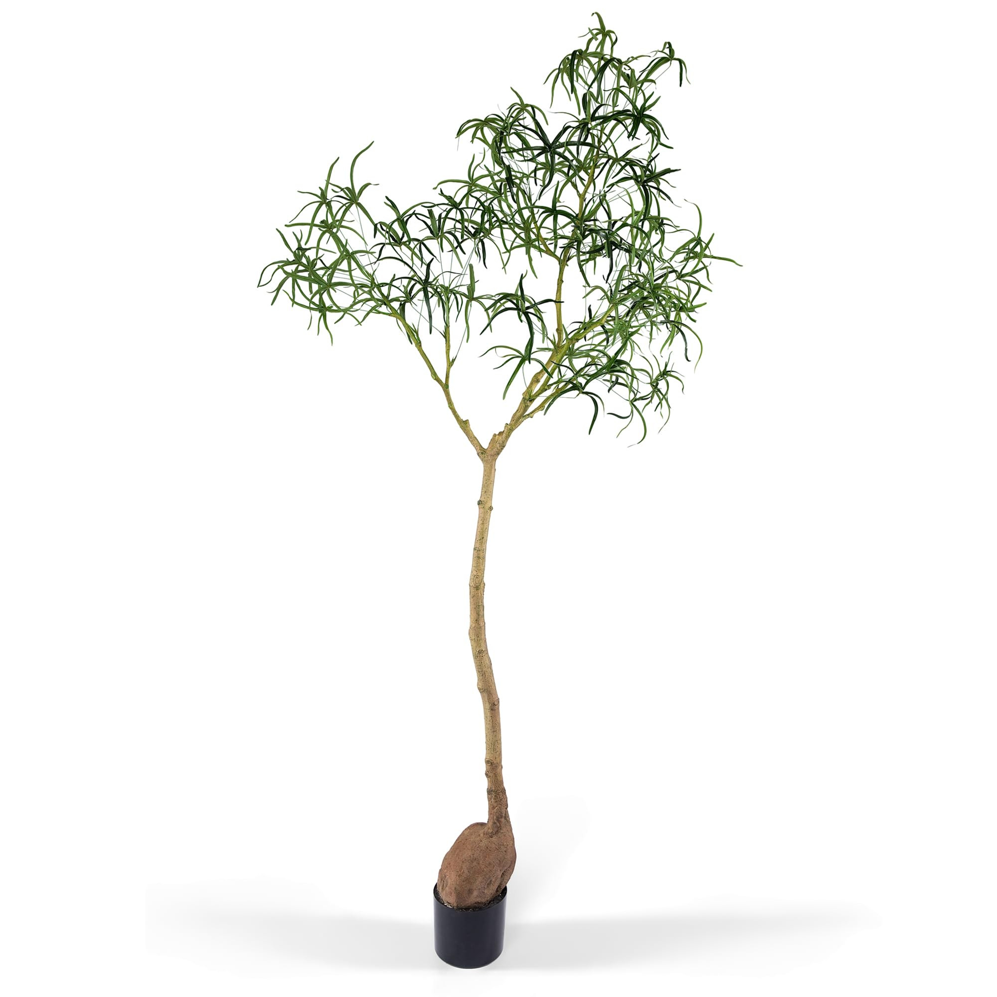 Everleaf 6.5FT Queensland Bottle Tree, Sculptural Faux Tree for Japandi & Wabi-Sabi Interiors, Pr... | Amazon (US)