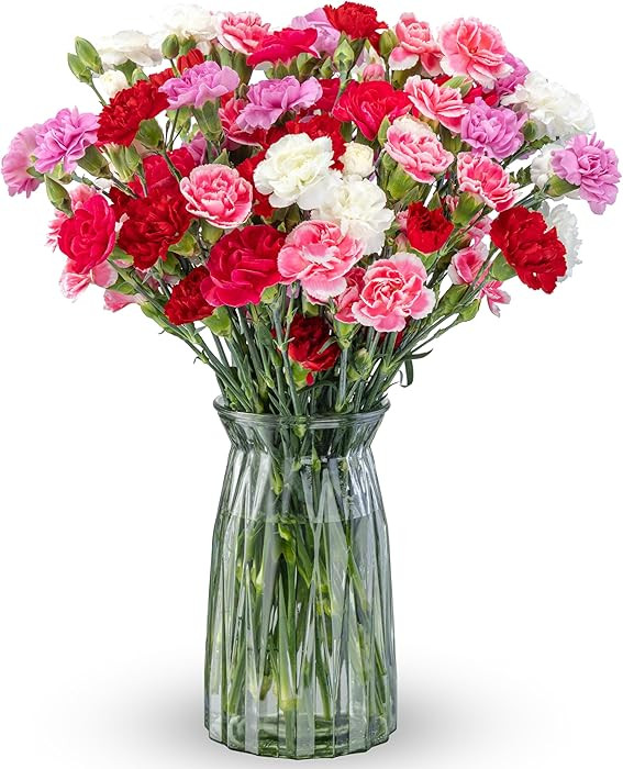 Benchmark Bouquets - 20 Stem Rainbow Mini Carnations (Glass Vase Included) - Fresh Flowers for Ne... | Amazon (US)