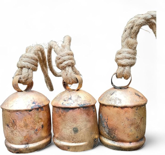 Siddhivinayak Overseas | Amazon (US)