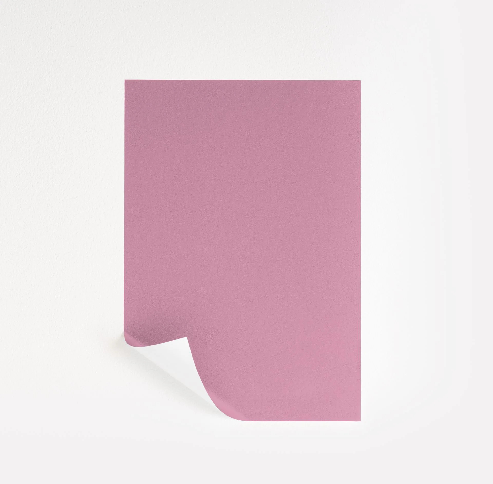 Haute Pink  Paint Sample | Samplize