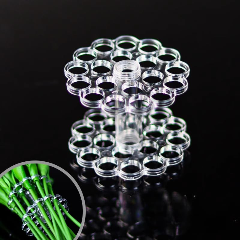 8PCs 2025 New Spiral Stem Holder, Flower Frog All in One, Spiral Stem Holder for Flowers, DIY Wed... | Amazon (US)