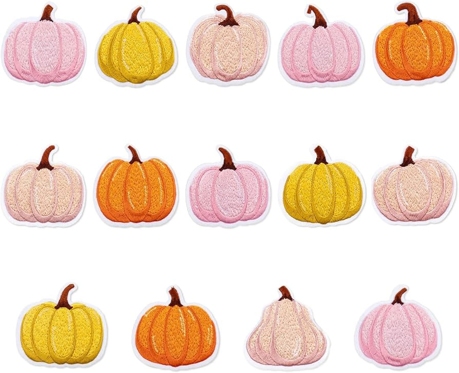14Pcs Fall Iron-On Sew-On Patch Pink Orange Pumpkin Heat Transfer Iron Patches Embroidered Cloth ... | Amazon (US)