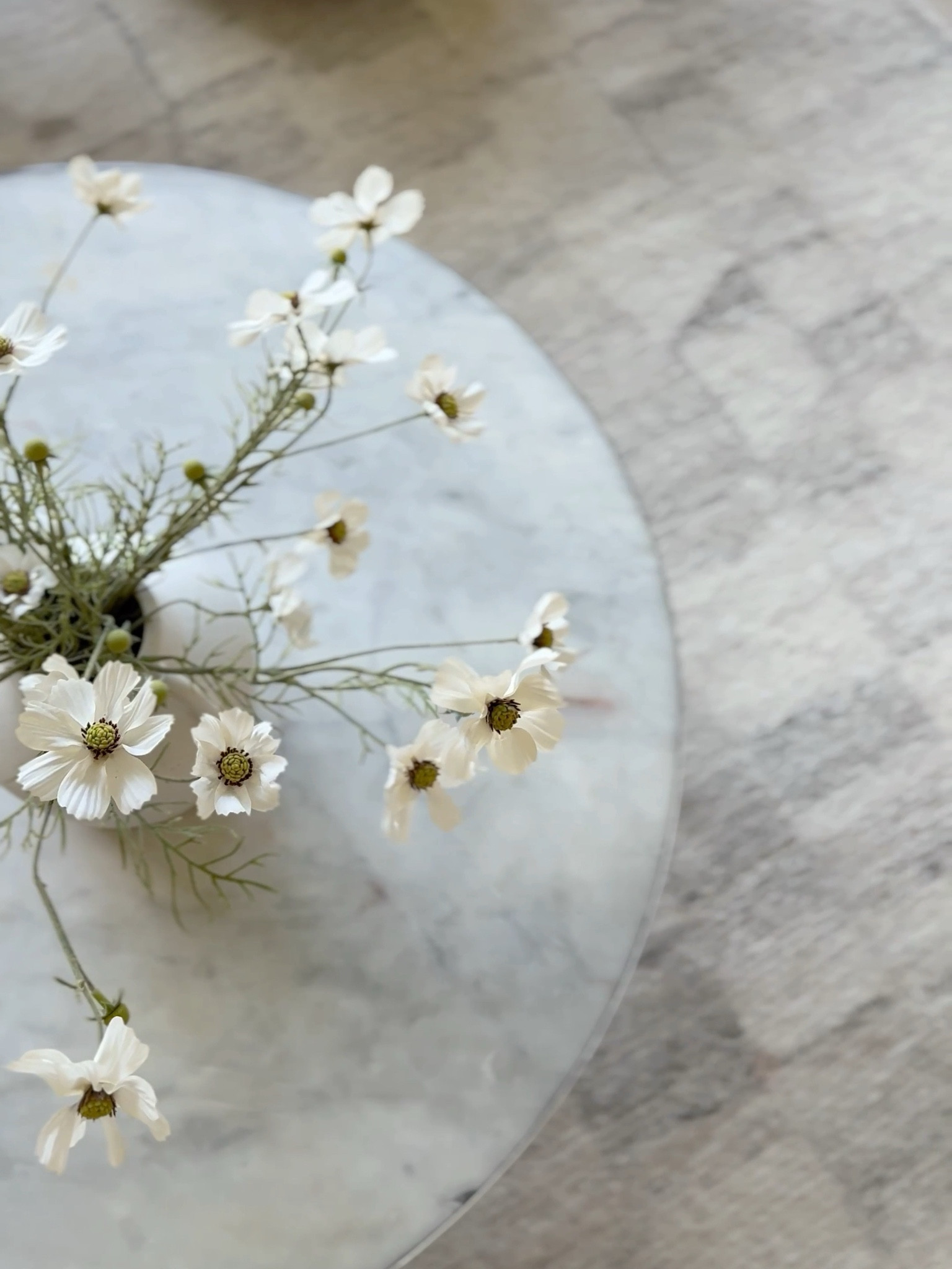 A moment for the cosmos! Our living room is feeling so fresh with these faux cosmos adding the perfect touch of spring! I love how the soft neutrals, cozy textures, and timeless decor make this space so inviting. If you’re looking to refresh your space, you can shop similar pieces and these pretty faux florals through my LTK!

#LTKHome #LTKFindsUnder50 #LTKStyleTip