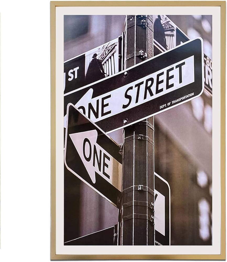 TheDisplayGuys - Contemporary Aluminum Picture Frame - Tempered Glass - 12x18 matted to 11x17 - G... | Amazon (US)