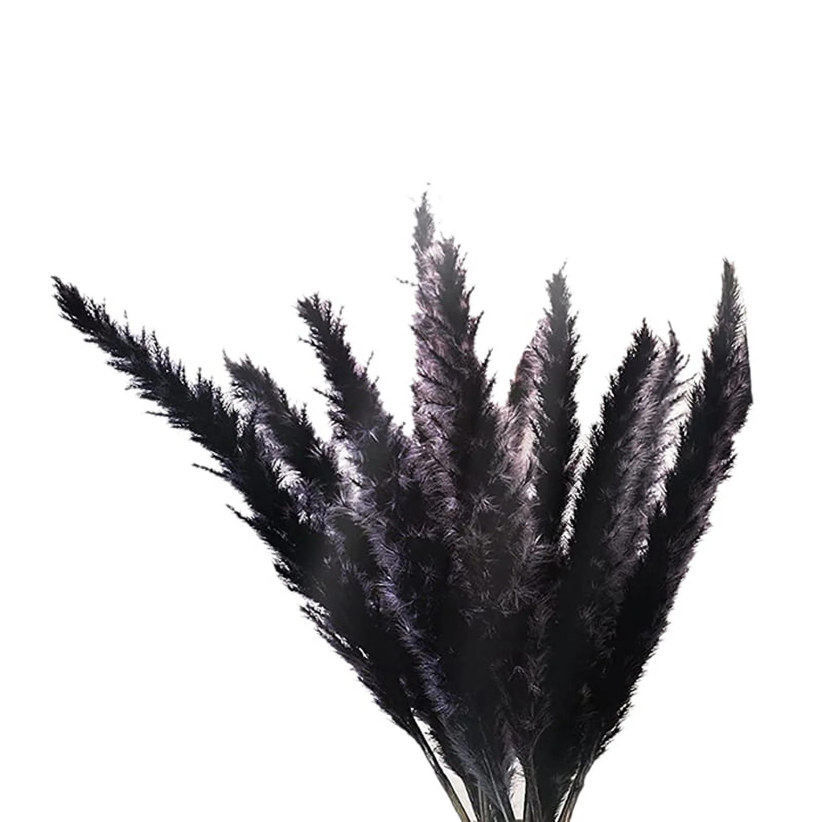 30Pcs Black Pampas Grass, 17 Inch Natural Dried Small Stems | Walmart (US)