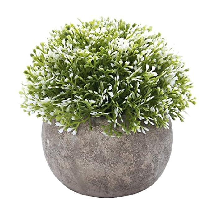 HC STAR Artificial Plant Potted Mini Fake Plant Decorative Lifelike Flower Green Plants - 1202 | Amazon (US)
