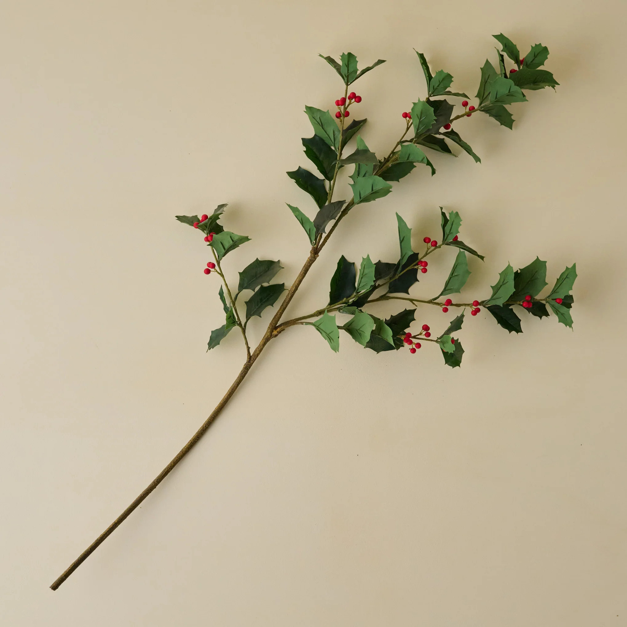 Oversized Holly Branch | Magnolia