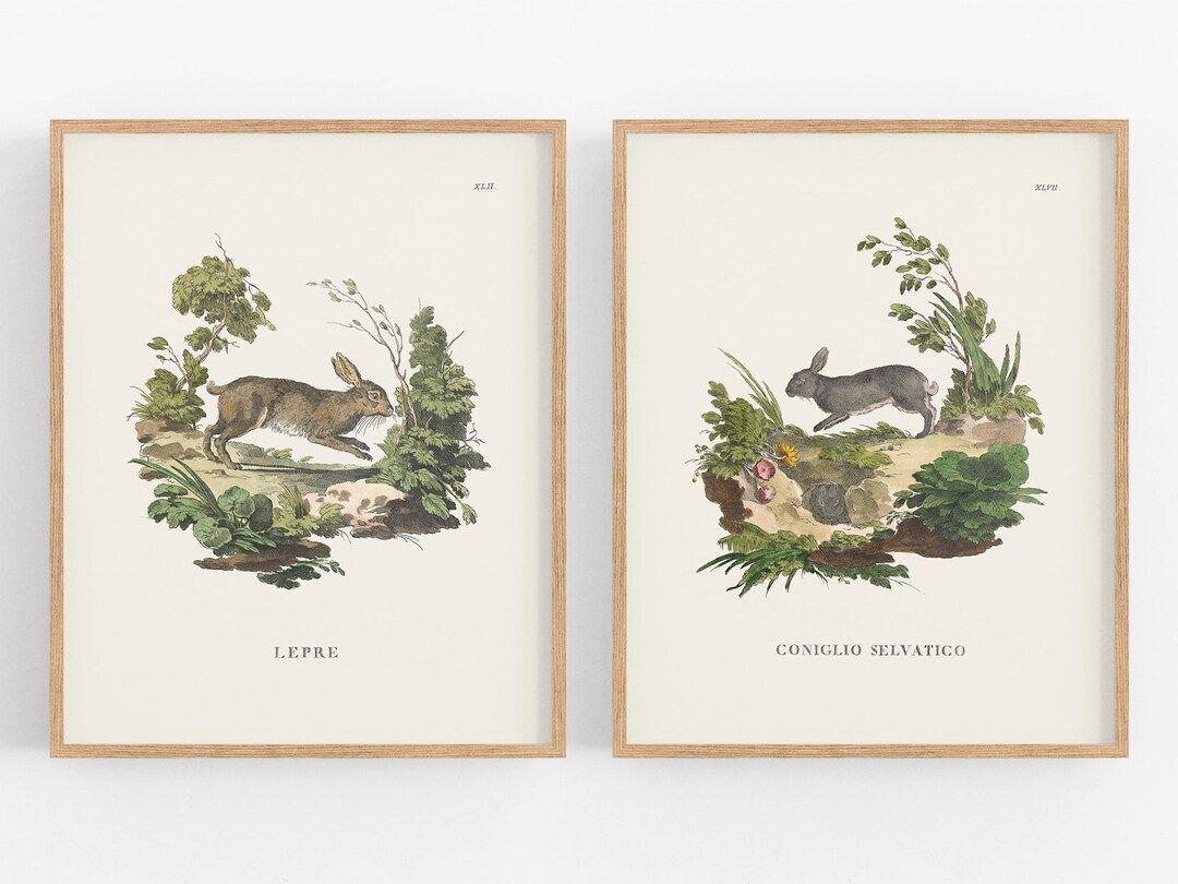 Set of Two Bunny Art Prints Set 1 / Bunny Art / Storybook - Etsy | Etsy (US)