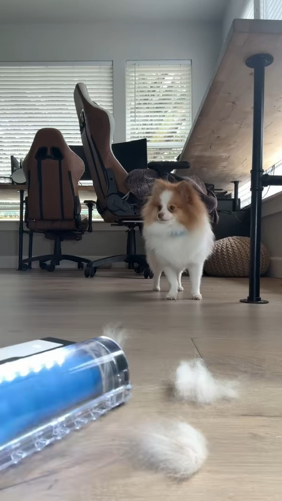 If you want your house to feel clean without spending your whole Saturday cleaning… this is it. The Shark Clean & Empty Cordless Stick Vacuum with Auto Empty Base gives you lightweight, grab-and-go power for daily messes, then empties itself when you dock it — so you’re not shaking out dust bins after every use. It’s sleek enough to leave out, strong enough for real life, and makes quick resets actually quick.

#LTKhome #HomeEssentials #CleanHome 

#LTKSaleAlert #LTKHome