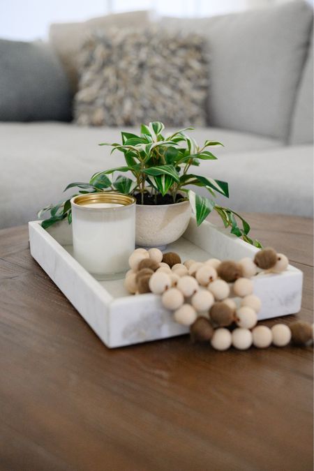 Spring table decor


Spring  home  home decor  spring home decor  table scape  coffee table decor  spring table decor  candle  tray  faux plant  the recruiter mom  

#LTKSeasonal #LTKhome