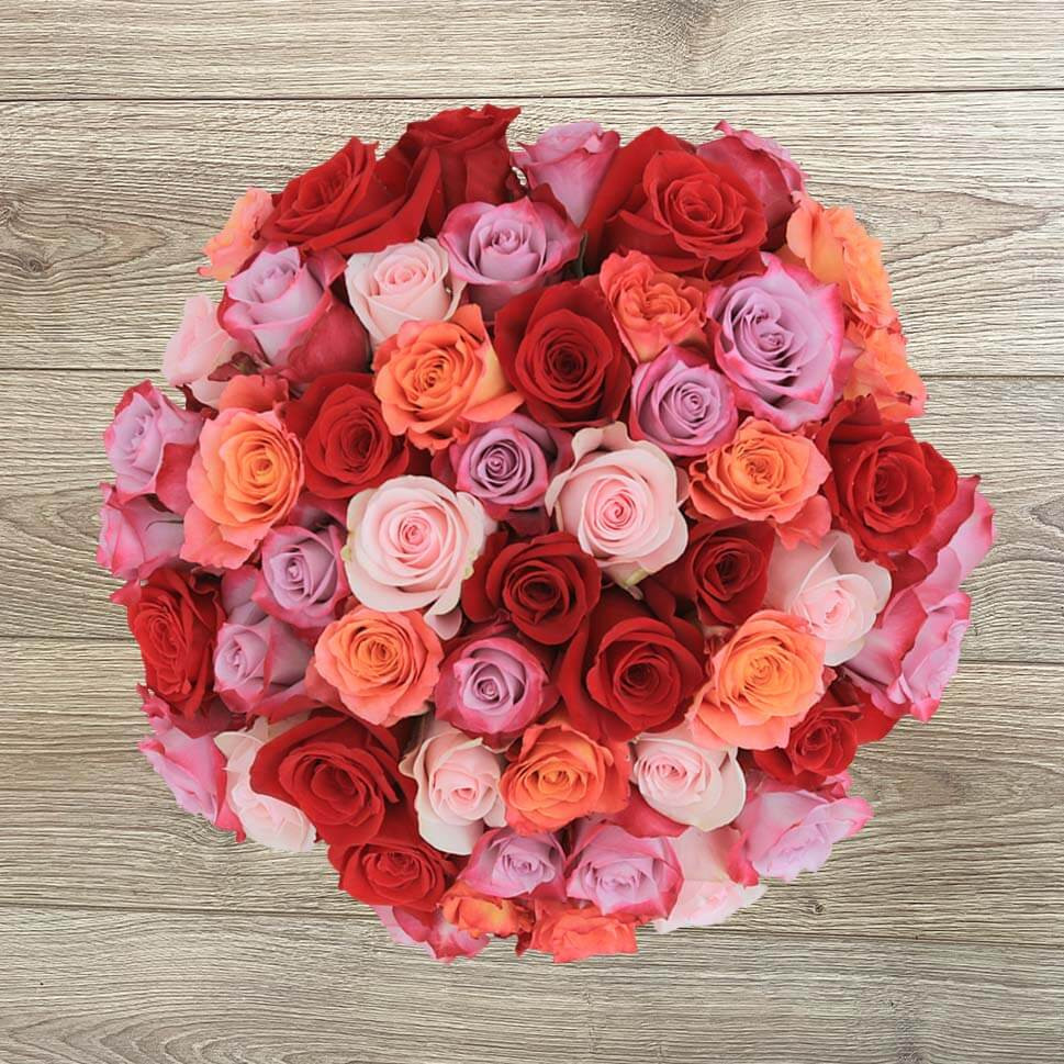 1 Dozen Pink & Red Roses - Romantic Rose Bouquet - Rosaholics | Rosaholics (US)