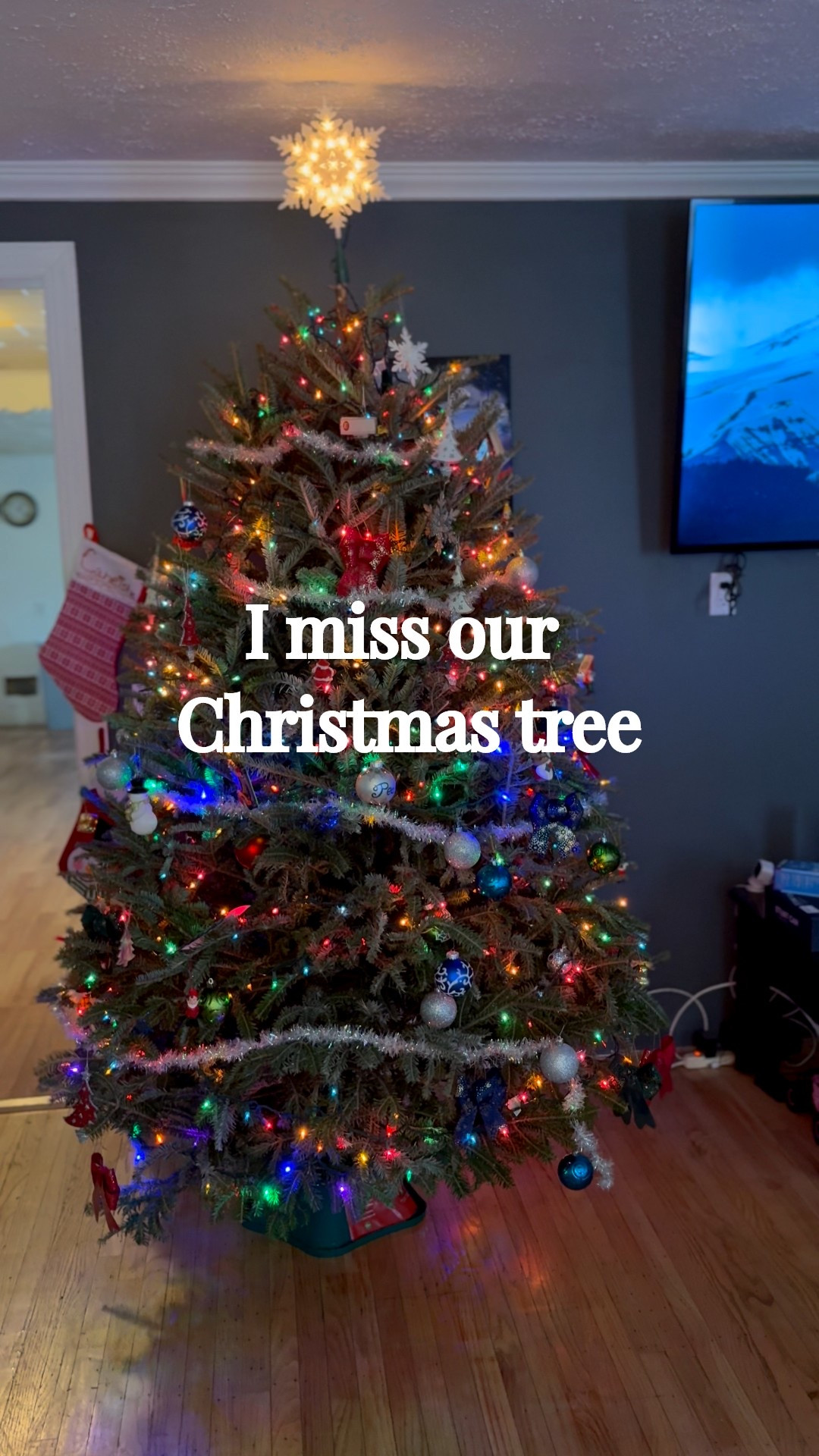 Christmas went by too fast 


#LTKmomlife #LTKvlog #LTKdayinmylife