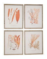 Set Of 4 21x27 Coral Reef Study Wall Art | TJ Maxx