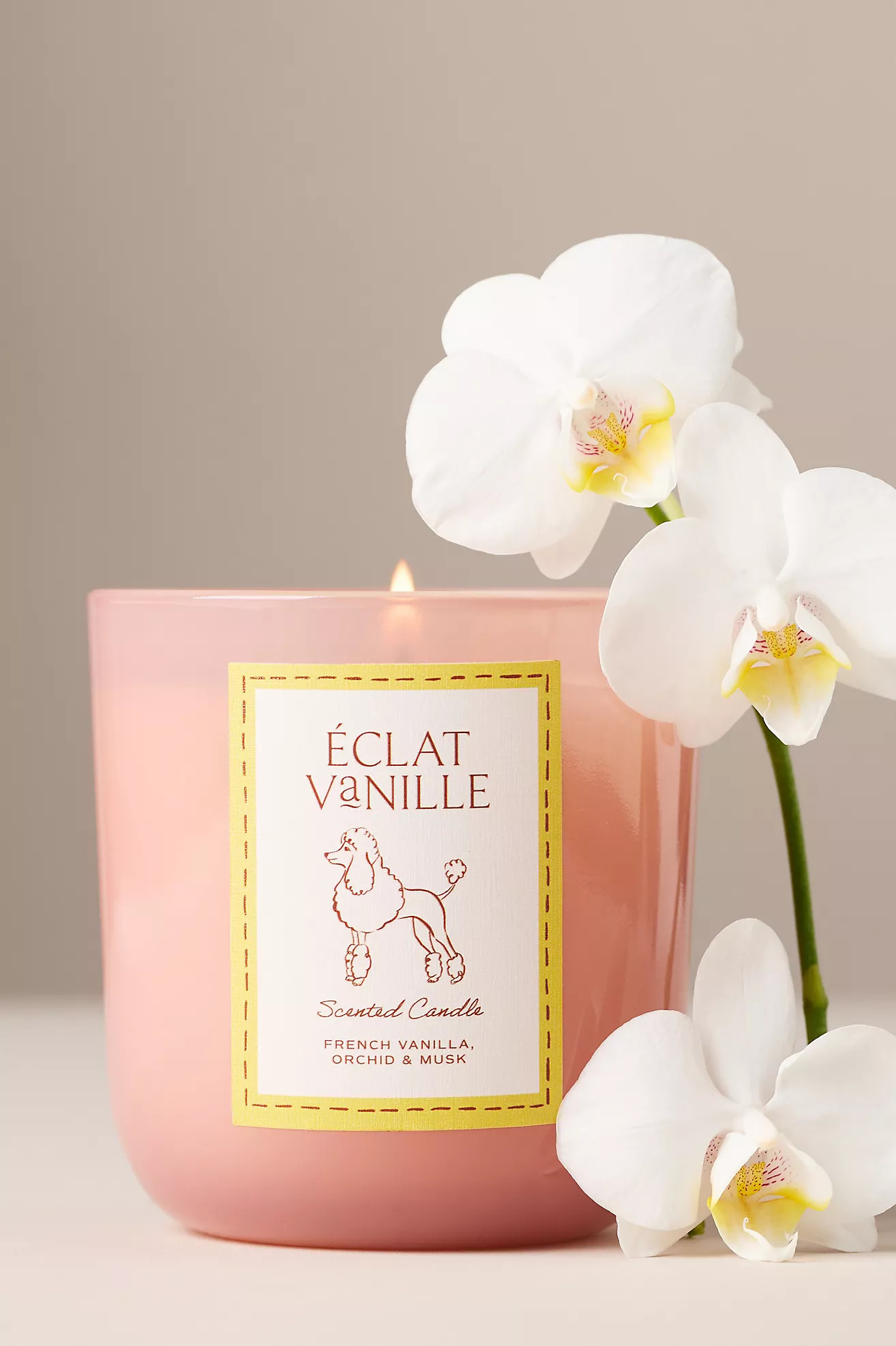 Papier x Anthropologie Gourmand Éclat Vanille Poodle Glass Candle | Anthropologie (US)
