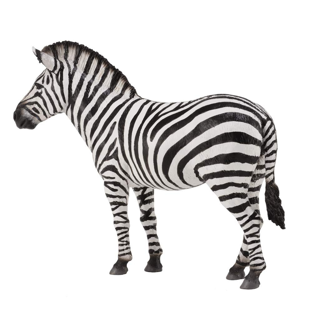 COLLECTA Common Zebra | Amazon (US)