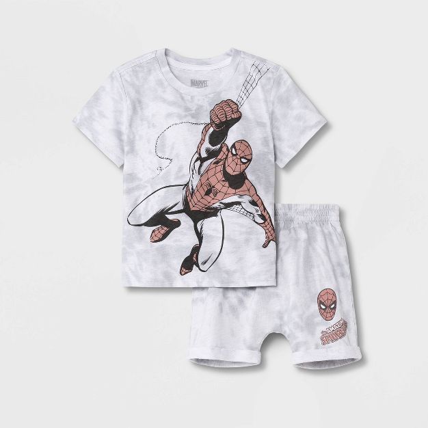 Toddler Boys' 2pc Spider-Man Top and Bottom Set - Gray | Target