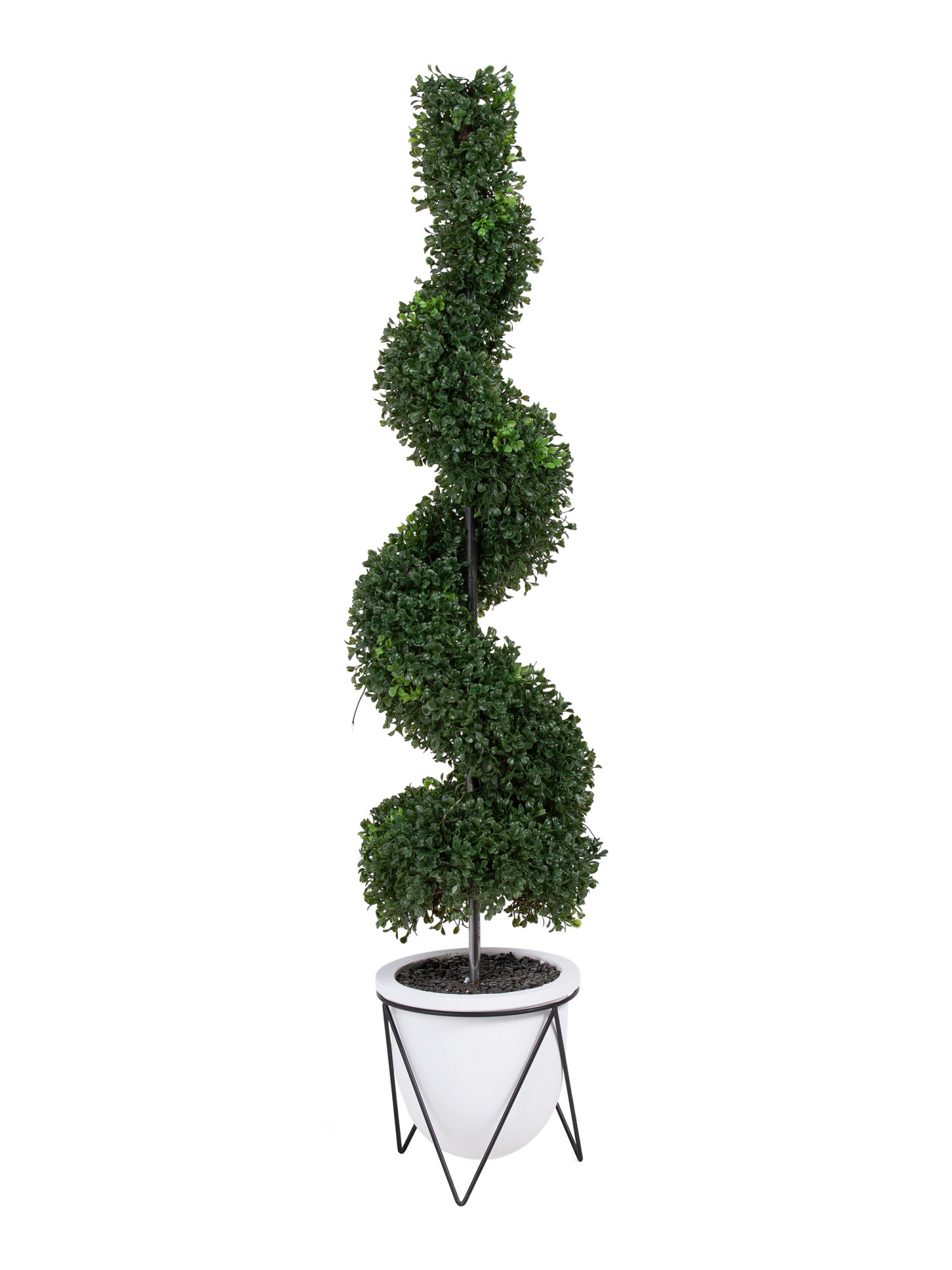 4ft Boxwood Spiral Topiary In Pot | TJ Maxx