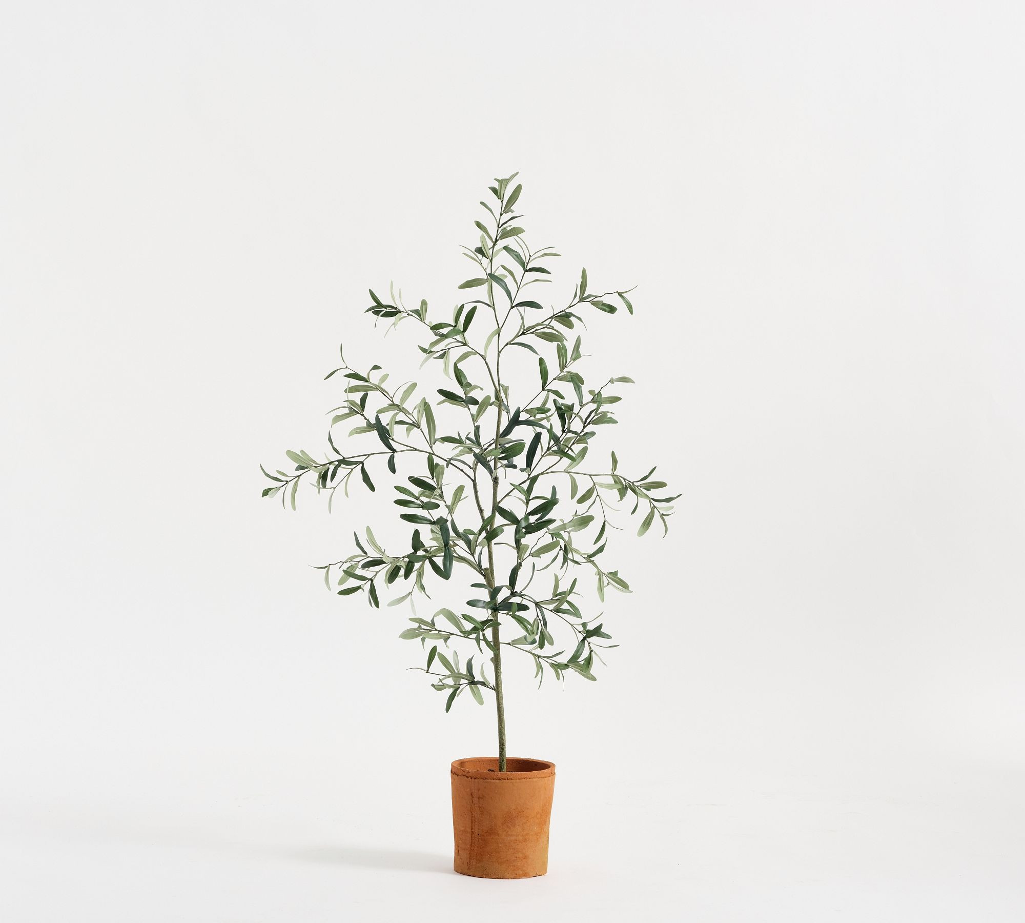 Faux Terracotta Potted Olive Tree | Pottery Barn (US)