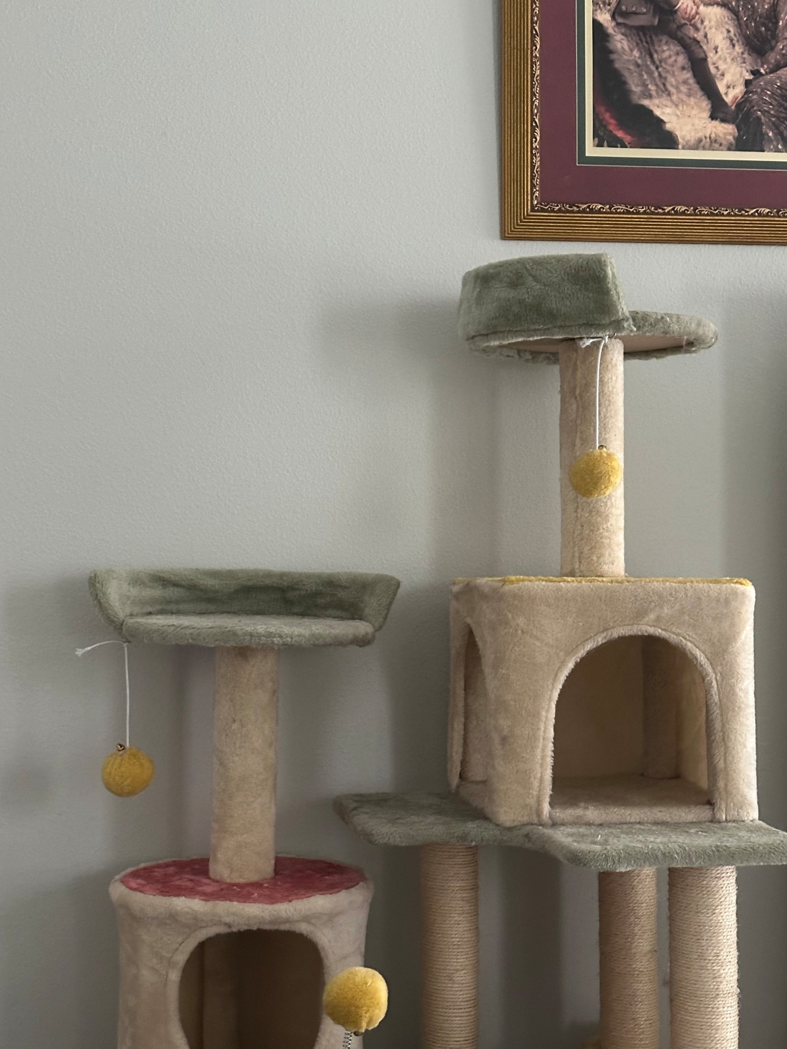 My cats are obsessed with this 🐈 🤩 I couldn’t find the exact one for you guys, but this one is pretty identical!

#LTKPets #LTKGiftGuide #LTKHome