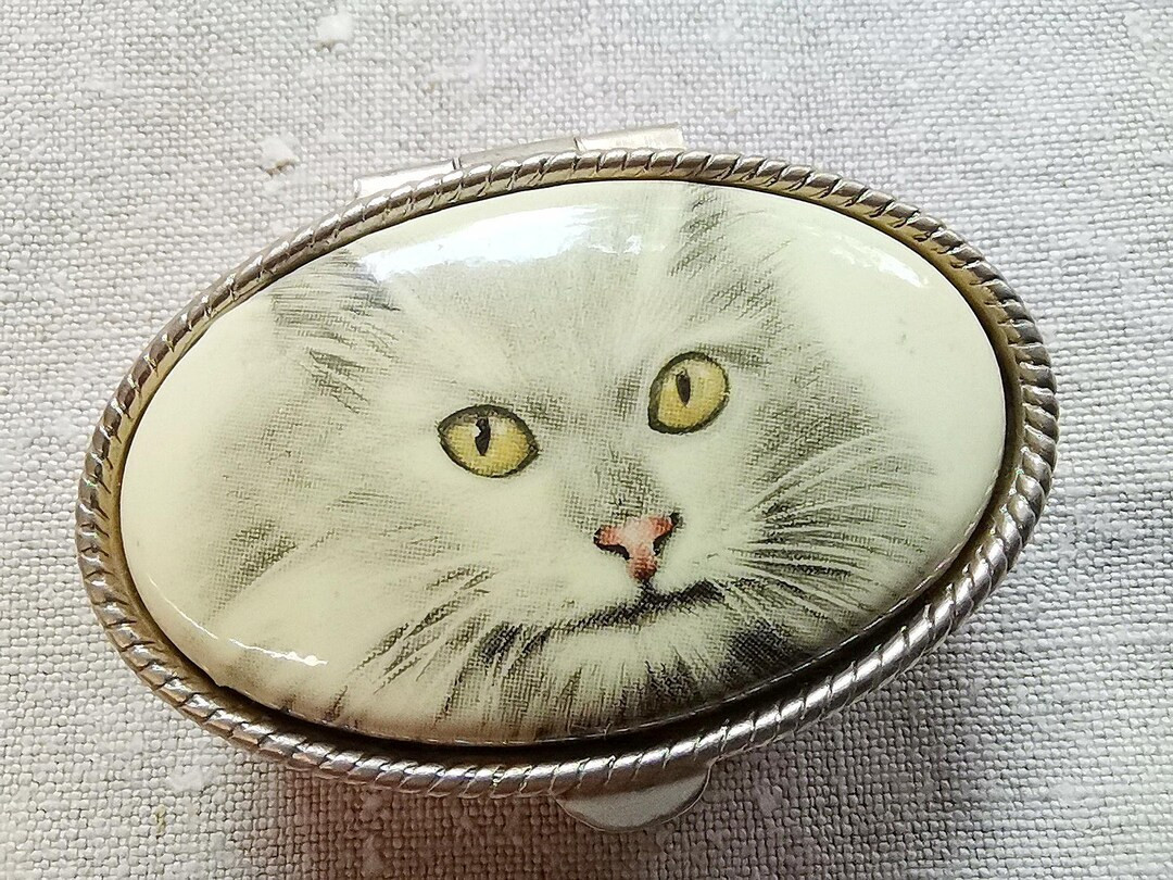 French Vintage Porcelain & Gold Tone Metal Cat Oval Pill Box (A411) | Etsy (US)