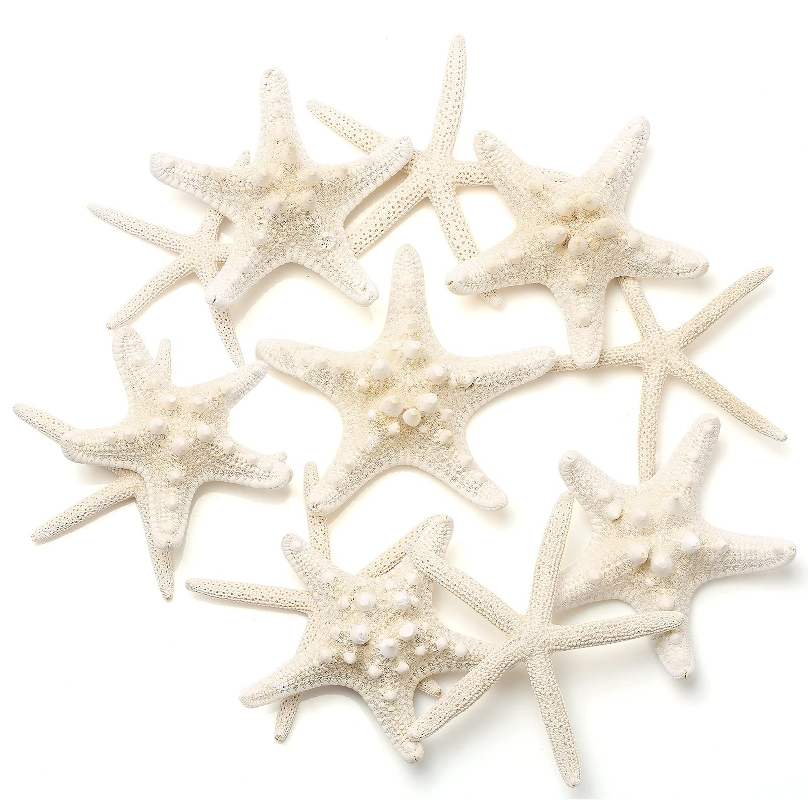 12 PCS Starfish | 2.5-6 Inch Starfish Decor | Natural Bulk Starfish Shells Perfect for Crafts Mak... | Amazon (US)