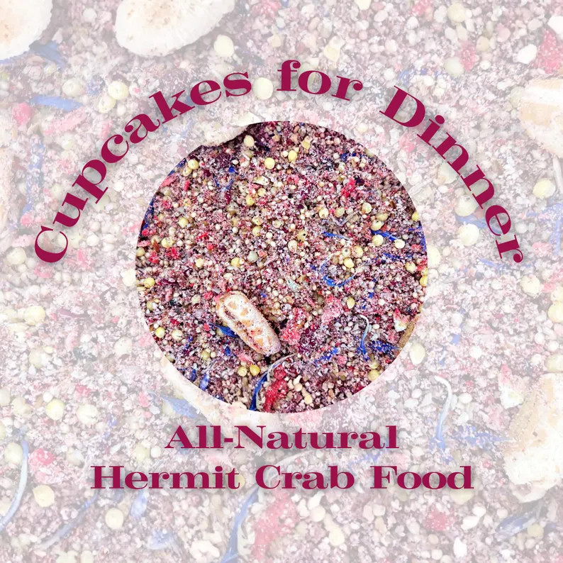 Cupcakes for Dinner - Complete Hermit Crab Organic Food Mix - Etsy | Etsy (Global)