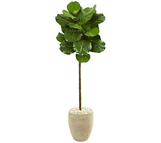 5' Fiddle Leaf Tree in Planter by Nearly Natura l | QVC