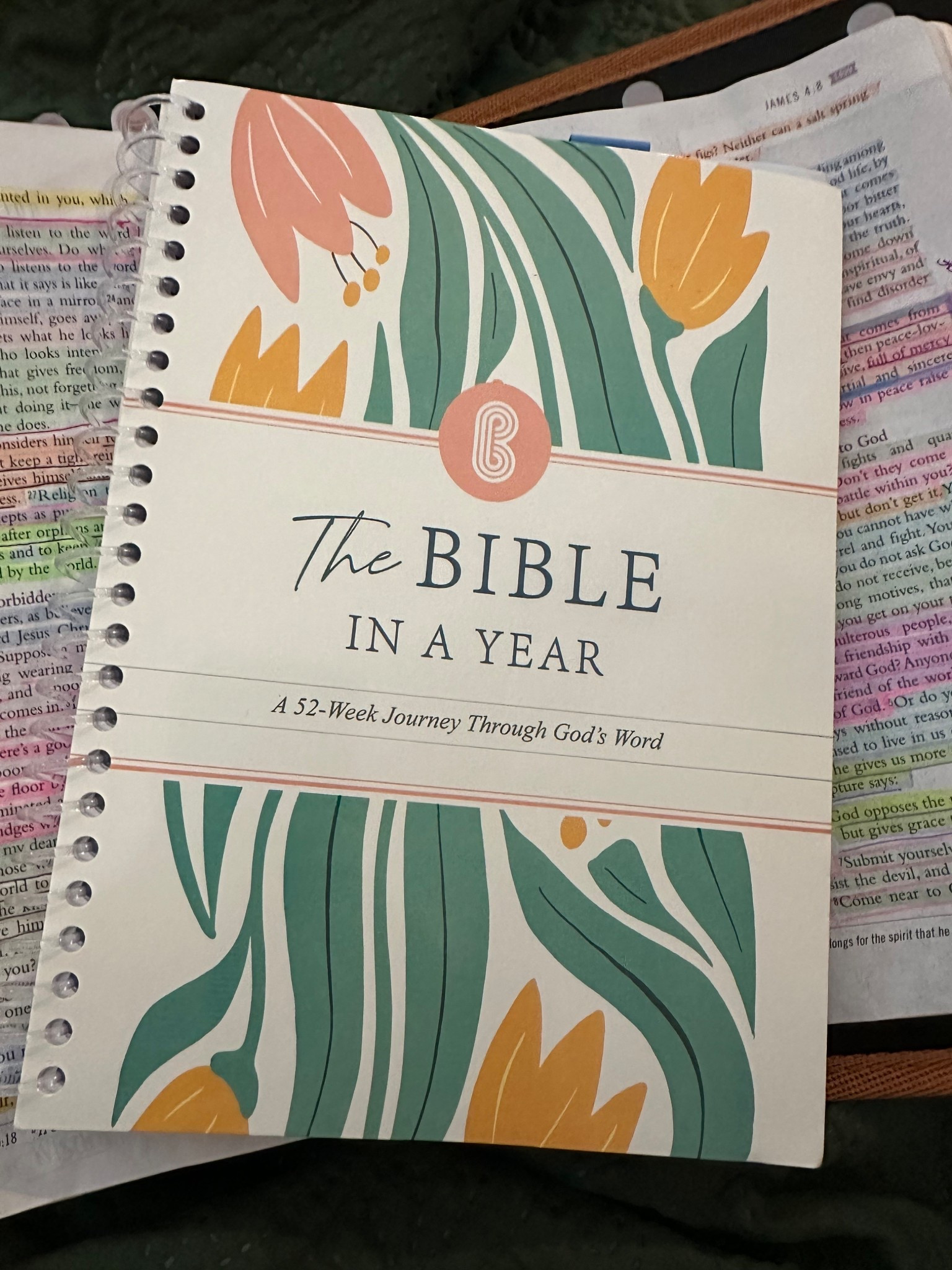 An easy and great read to get through the Bible in a year 📖 🖊️ 

#LTKOver40 #LTKmorningroutine #LTKselfcare