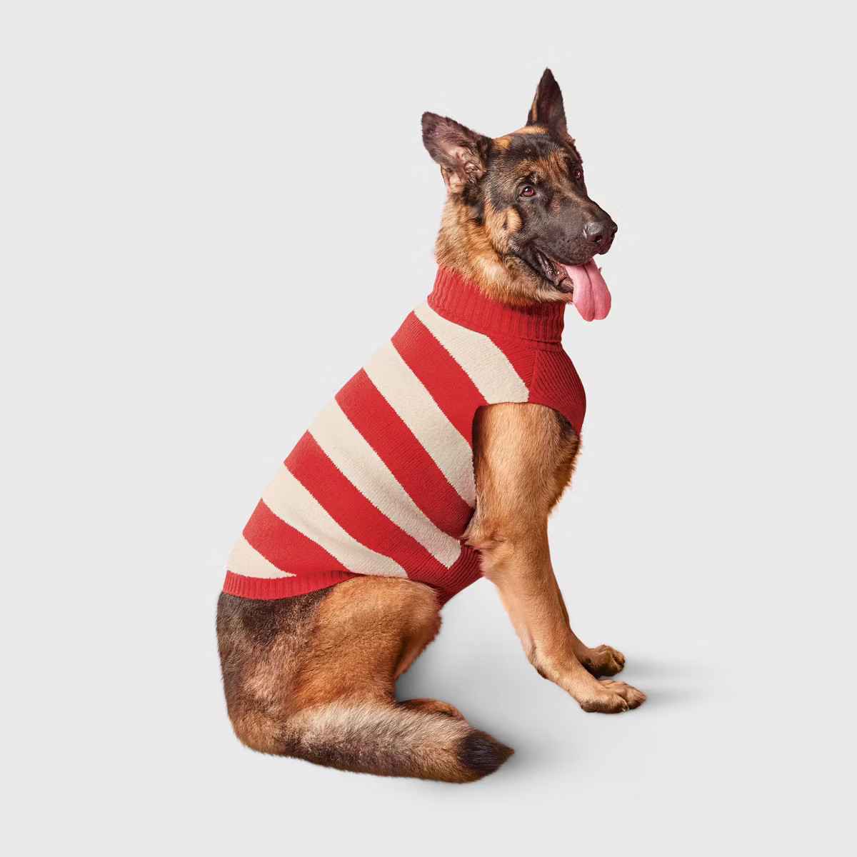 Geo Stripe Boucle Pet Sweater - Boots & Barkley™ | Target
