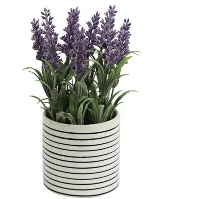 Artificial French Lavender Plant Centerpiece in Pot Ophelia & Co. | Wayfair North America