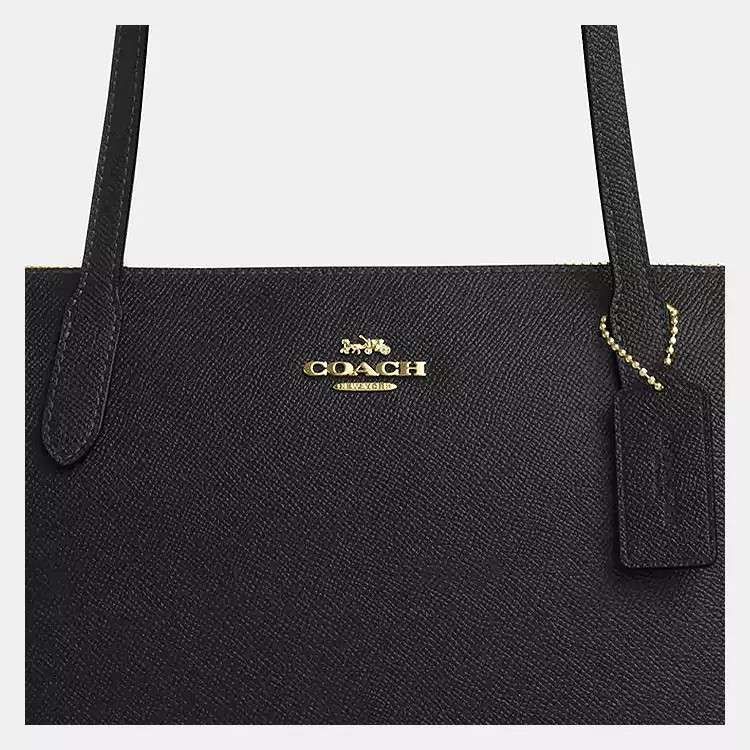 Fiona Zip Tote Bag | Coach Outlet US