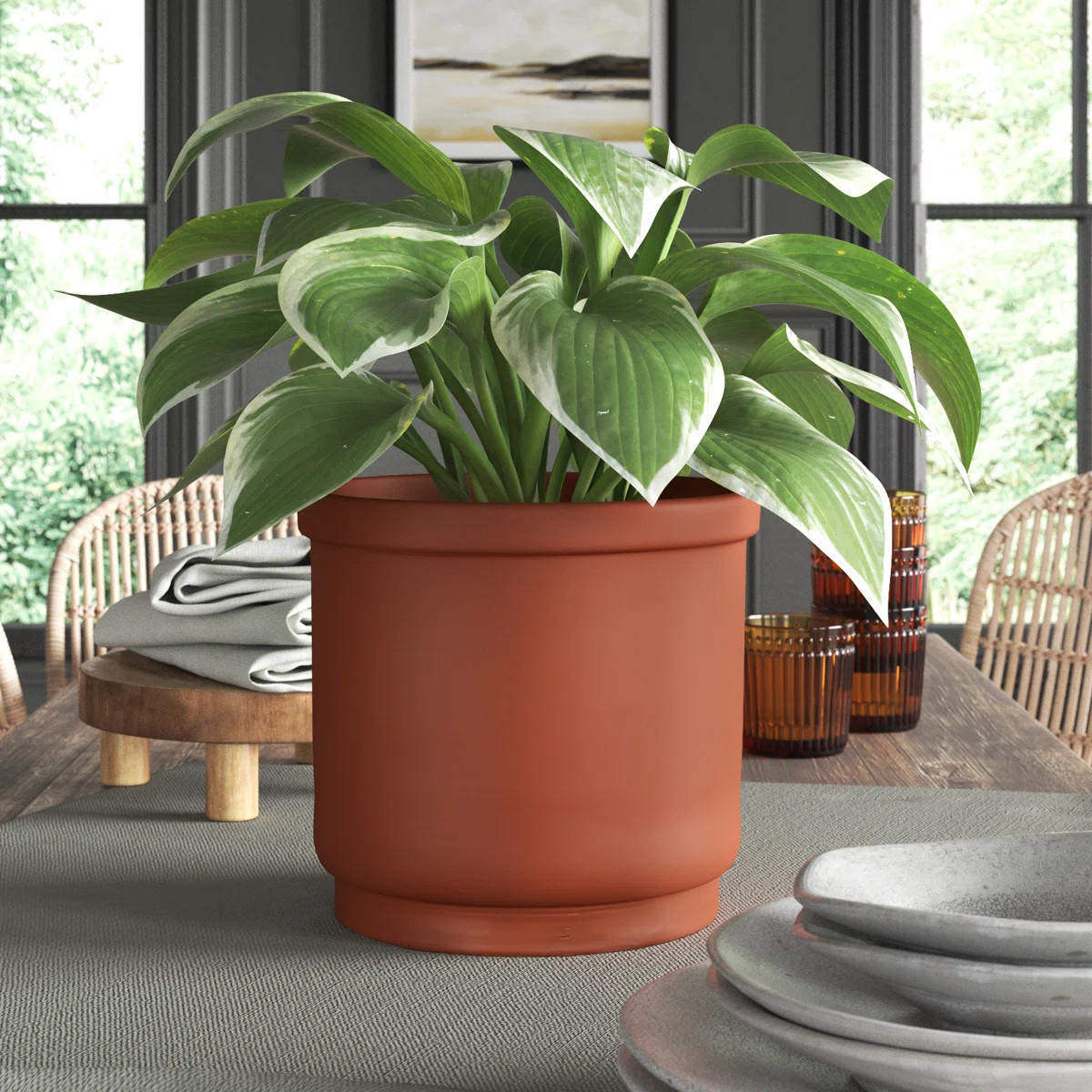 Privet Pot Planter | Wayfair North America