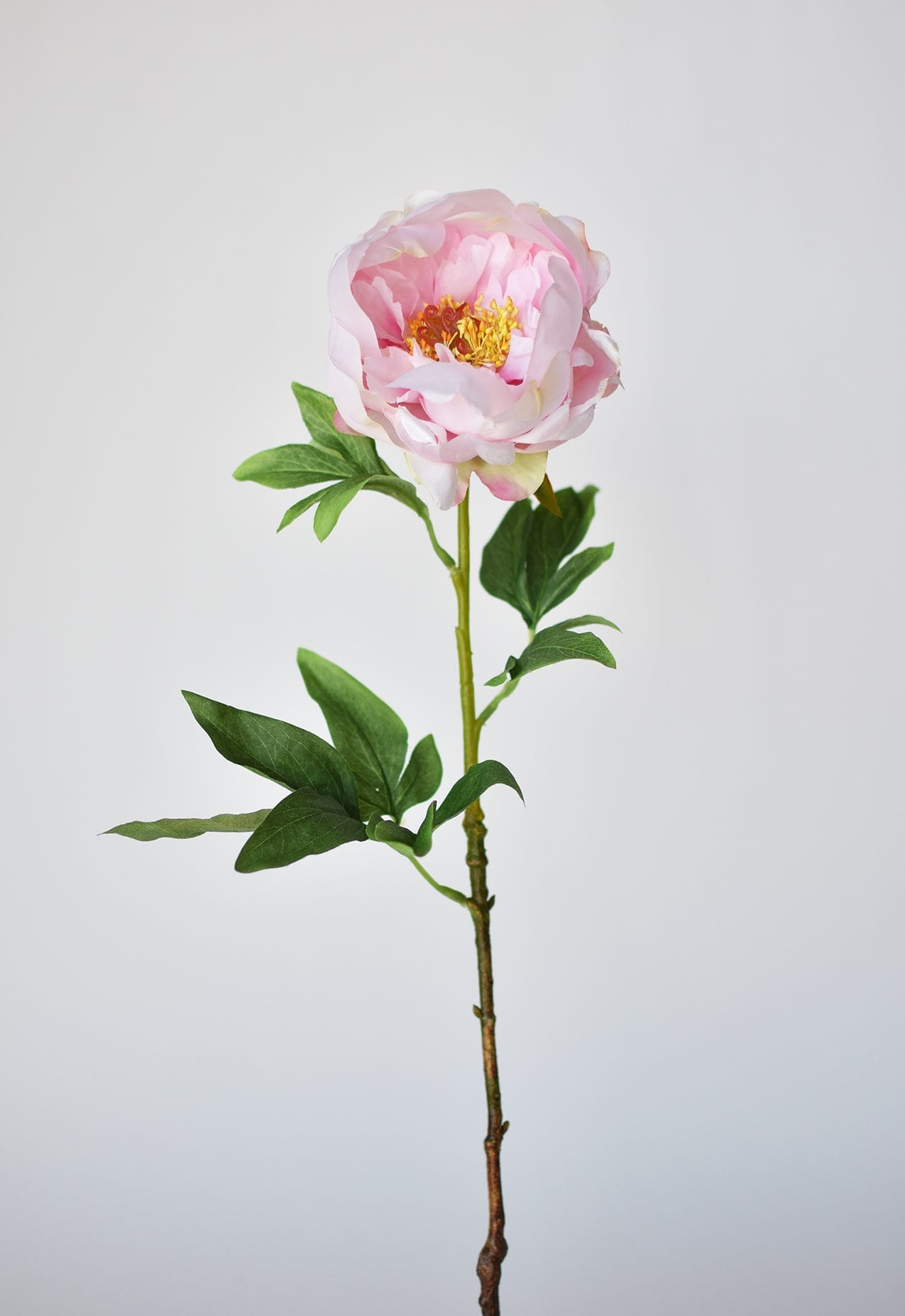 22" Faux Pink Peony Stem | HouseFloral