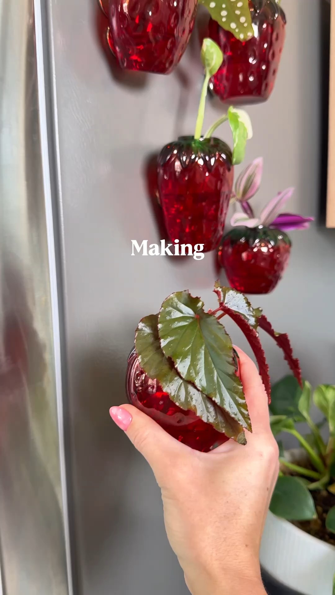 Berry Fridge Vases 🍓

#LTKSeasonal #LTKHome #LTKU
