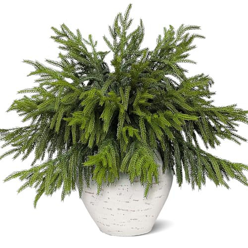 Juxdp 20 Pcs Real Touch Norfolk Pine Branches, Artificial Christmas Green Plants Branch Faux Greenery Stem Fake Pine Picks for Vase DIY Crafts Garland Wreath Xmas Indoor Outdoor Decor(18 Inches) | Amazon (US)