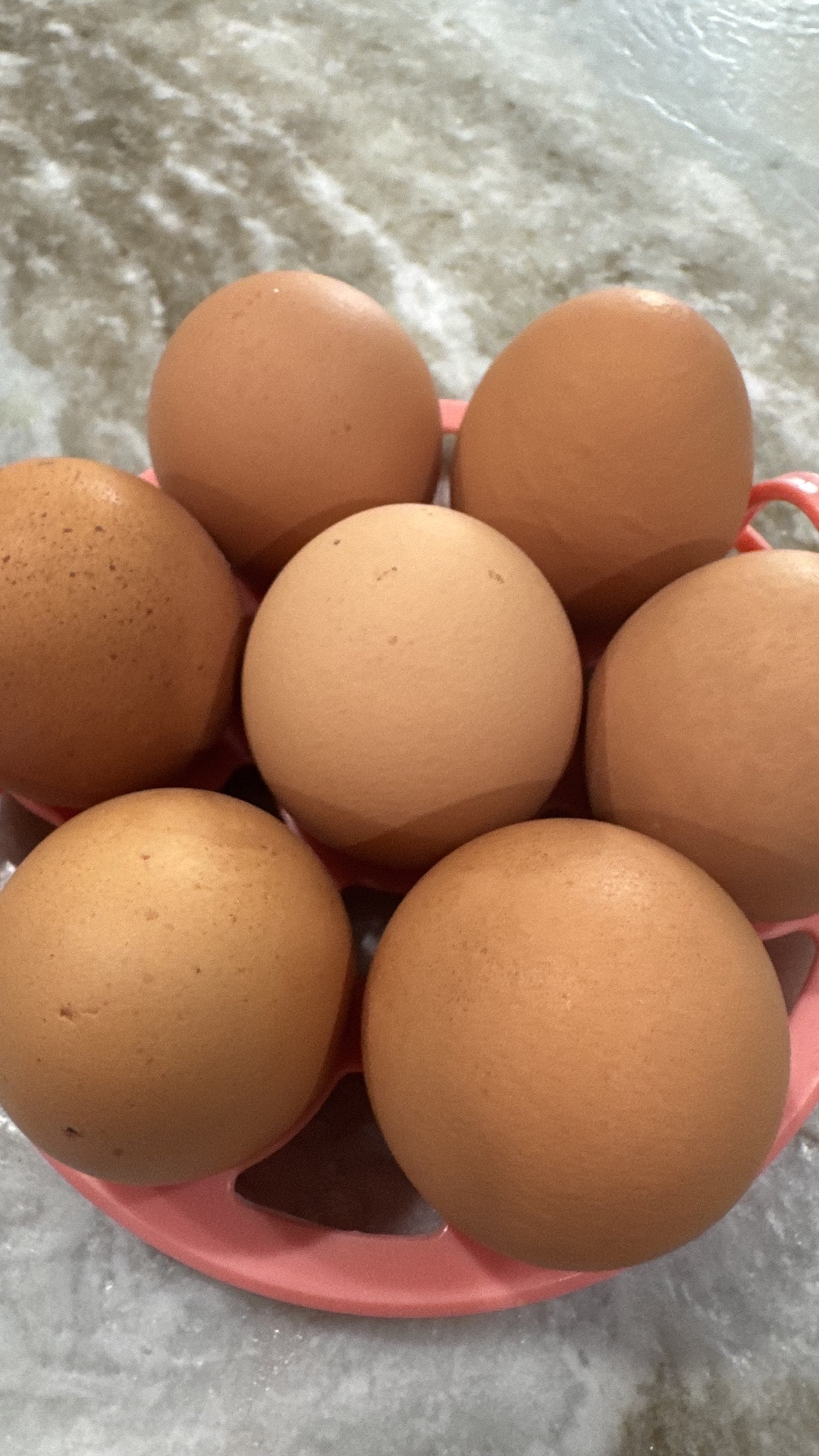 The easiest boiled eggs you’ll ever make

#LTKmorningroutine #LTKfoodie #LTKvlog
