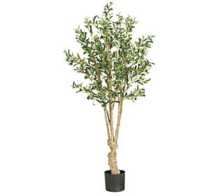 5' Olive Tree by Nearly Natural | QVC