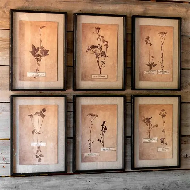 Pressed Botanical Print Set of 6 | Antique Farm House