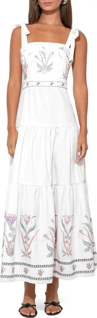Olivi Placemat Embroidered Midi Dress | Nordstrom