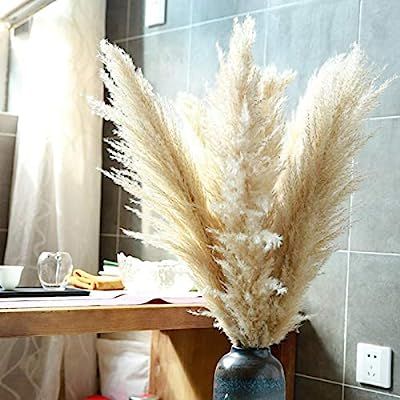 Amazon.com: 48" (4 FT) Length Pampas Grass 3 Stems - Tall Large Natural Dried Pampas for Flower A... | Amazon (US)