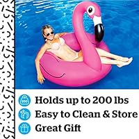 BigMouth Inc Pink Flamingo Pool Float, Inflates to Over 4ft. Wide, Funny Inflatable Vinyl Summer ... | Amazon (US)